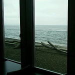 柿の木 - 柿の木