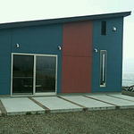 柿の木 - 柿の木