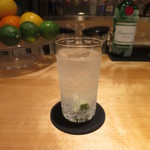 ザ ノーザンライツコーナー - Gin & Tonic (May 2016)