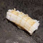 鮨ノ蔵 - ヤリイカ