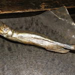 鮨ノ蔵 - 本ししゃものオス