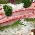 天一 - ナンヨウカイワリ