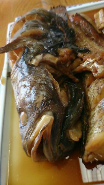 どんこ いわき 魚介料理 海鮮料理 食べログ