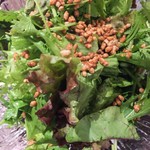 地鶏割烹 稲垣 - 