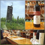 カーブドッチ -  ✨wine tasting✨100yen
      ドルンフェンダー
      スタンディング バーカウンター