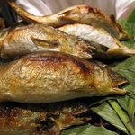 くろぎ - ９月焼き物　子持ち鮎のおなかはぷくぷく