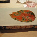 くろぎ - ９月お造り　秋の気配ですね