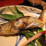 くろぎ - ７－８月焼き物　鮎の塩焼き　勿論お供は蓼酢です
