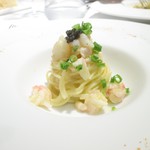 リストランテ サクラ - 甘エビのカッペリーニ　トマトの香り