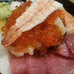 寿司富 - チラシ（チョッと大盛）