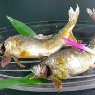 「本日のおすすめ」にはこだわりの食材を使用した料理が並びます