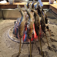 柳家 - 【再訪②】2016/06/04（土）dinner