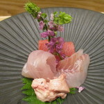 小料理 すず乃 - 秋田産　ウマヅラカワハギ、本鮪、青森産　そい