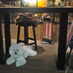 アジアンビストロDai - テラスはワン OK〜♬
      