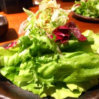 よろにく - 特製塩ダレのサラダ
