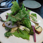 サラダ