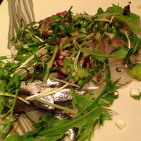 RIVA - 