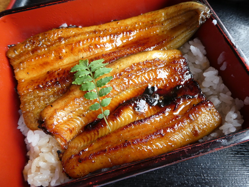天然鰻のとほつあふみ name=