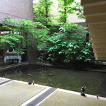 中國菜 浜正 - 中庭の池