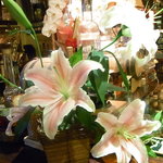 Bar Agit - １２周年おめでとう♪