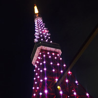 ワカヌイ グリル ダイニング バー 東京 - 