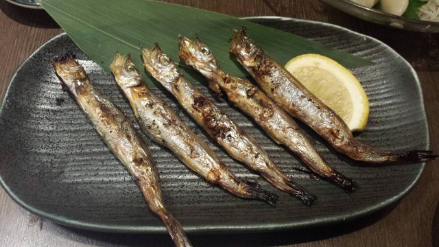 閉店 海鮮居酒屋 築地 はなの舞 北浦和東口店 つきじ はなのまい 北浦和 居酒屋 食べログ 閉店 海鮮居酒屋 築地 はなの舞 北浦和東口店 つきじ はなのまい 北浦和 居酒屋 食べログ