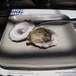 Hog Island Oyster Co. - 