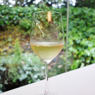 サーラ・カリーナ_0