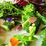 カーブドッチ - テリーヌ出現