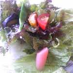 ダイニングルーム バイ ザ ビワコ - サラダ（ヒラベリラドレッシング）