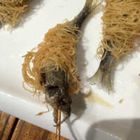 串カツとワイン 揚八 東急プラザ銀座店 - 