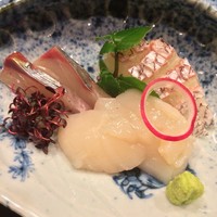 懐石料理 はし本 - 縞鯵/鯛/帆立
