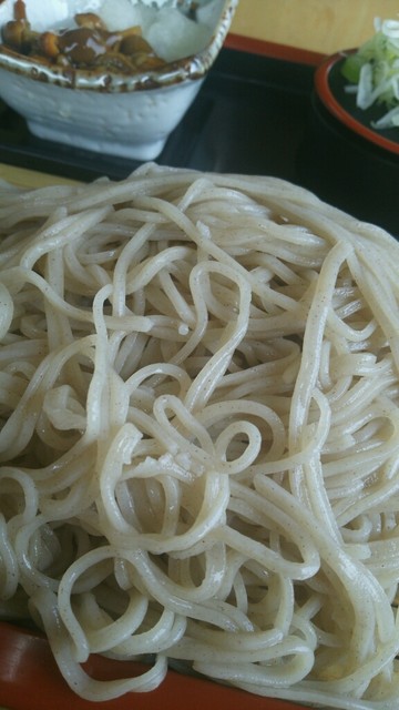 歳時記会館 - 只見（そば）の写真