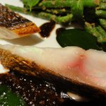 カンテサンス - 05 Isaki イサキ テイラギと黒オリーブ