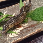 車力門 ちゃわんぶ - 京都天然アユ