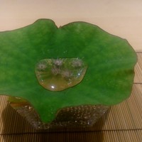 料理屋 植むら - 