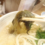 のんき坊 - 昆布♪