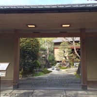 平等院表参道 竹林 - 