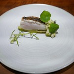 アカ - まながつお サルピコン