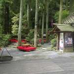 いろり山賊 - 森の手前とあって涼しそうな野外席。