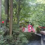 いろり山賊 - 料理を堪能した後は、野外席の様子を見るために移動し