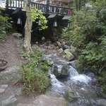 いろり山賊 - 店内には小川も流れ、せせらぎの音を感じながら料理を楽しむのも乙なものです。