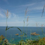 みさき - 積丹ブルー