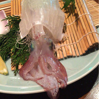 割烹 川田 - 