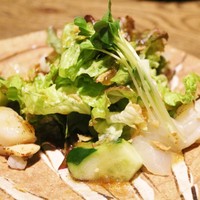ごはんや 要兵衛 - 刺身　スズキ昆布〆とイタヤ貝のサラダ仕立て