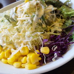 焼肉神楽 - サラダがでっかくてビビリました