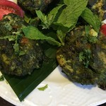 カーン・ケバブ・ビリヤニ - ハリヤリチキンティッカ