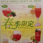 PLUM - 