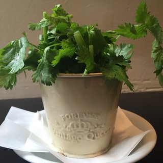 パクチーバケット(パクチー好きお客様に)