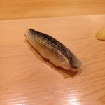 鮨 しゅん輔 - 2016.5